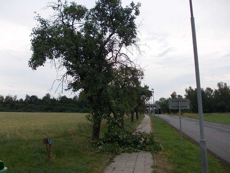 foto 001.jpg - Ulomen vtev na jabloni - Drahelice, Hoelick
